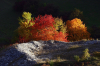 Bunter Herbst 2
